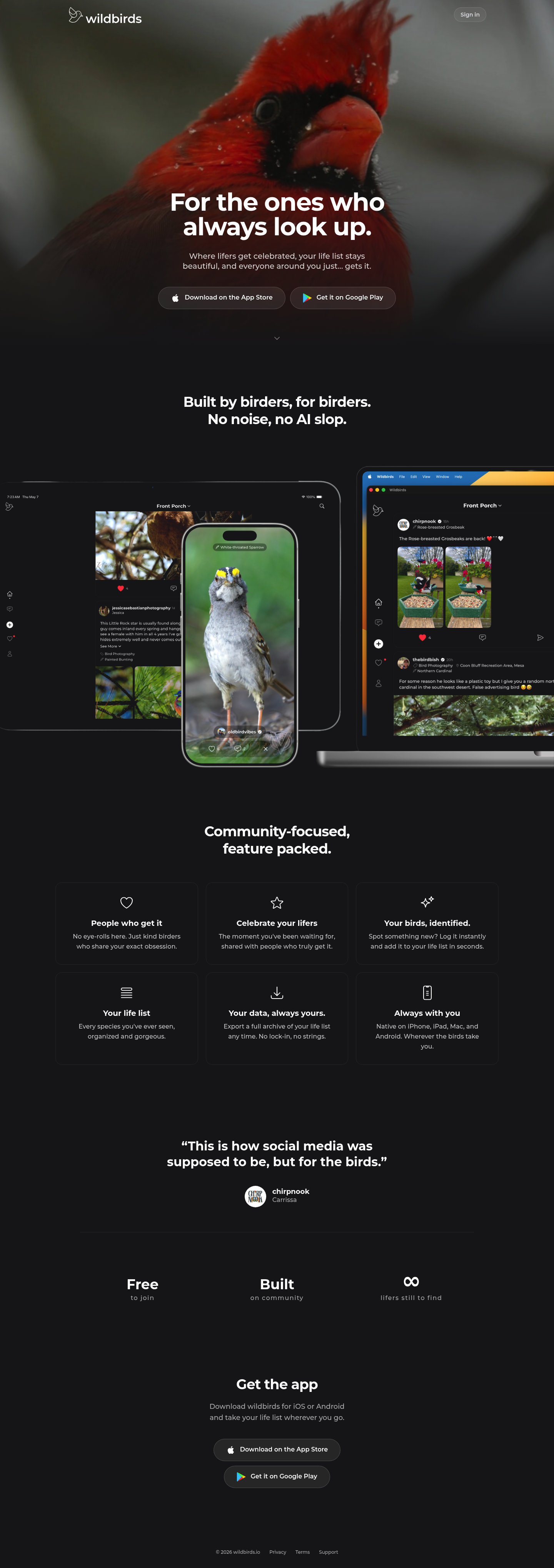 wildbirds screenshot