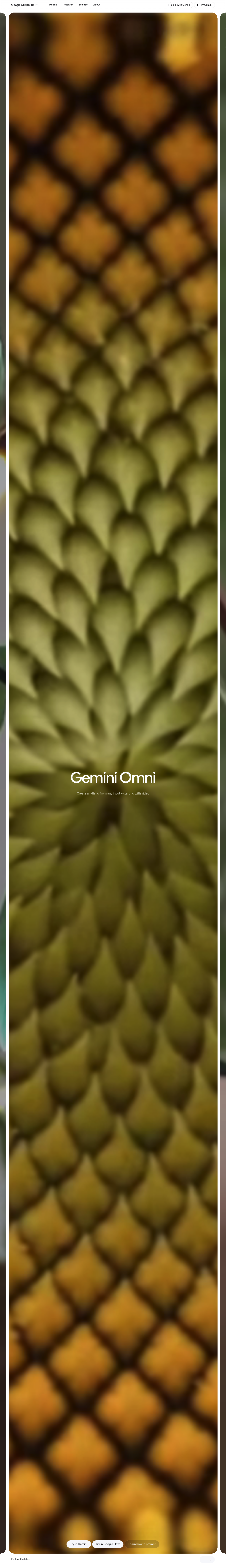Gemini Omni screenshot